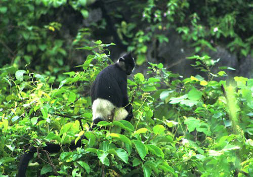 Van Long Eco-tourism Area