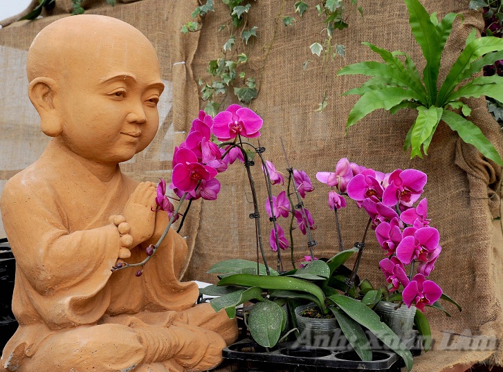 The 2019 Bai Dinh Spring Flower Festival - An awaiting interesting event at Bai Dinh cultural and spiritual tourist area temple