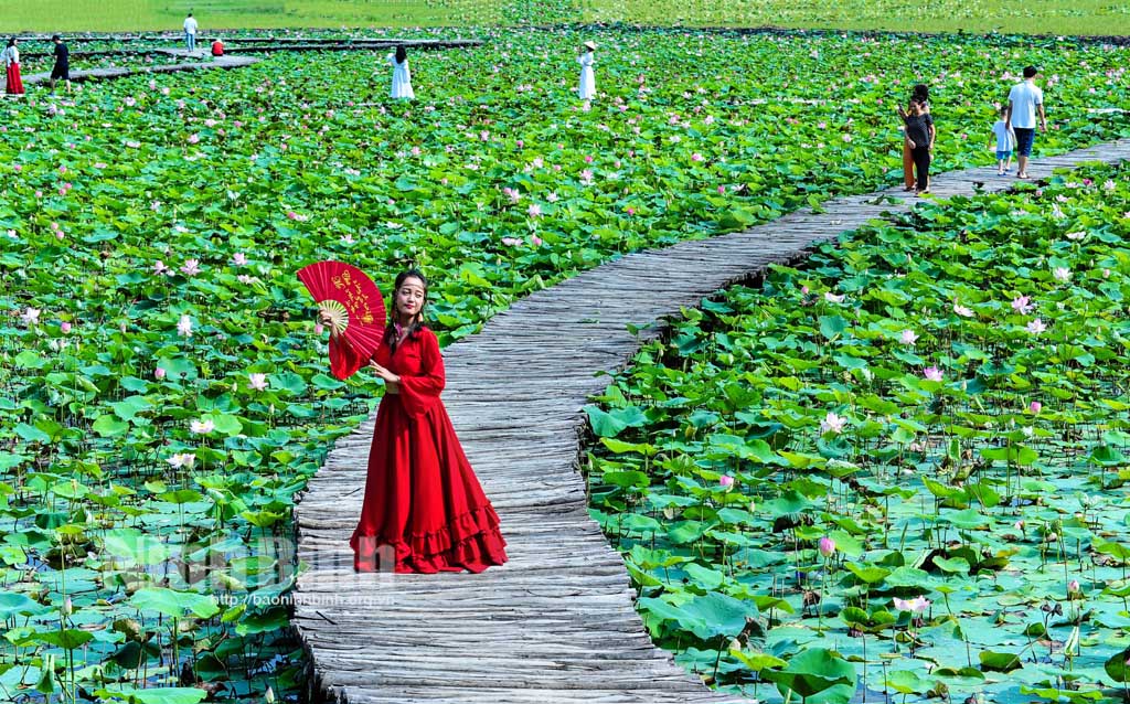 Ninh Binh works to develop typical agri-tourism