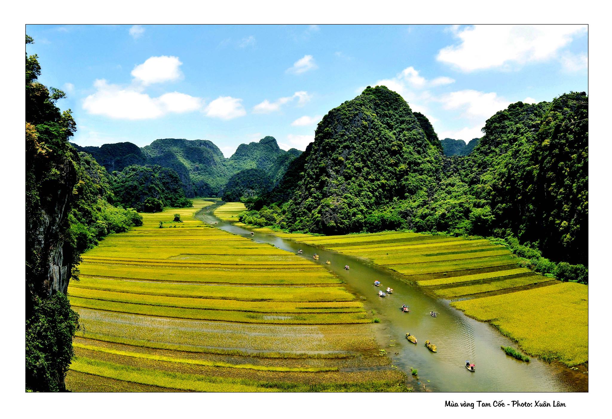 La beauté exceptionnelle de Tam Coc dans la saison de la récolte du riz