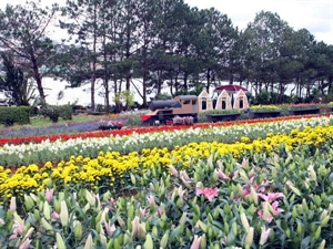 Bientôt la semaine culturelle et touristique de Da Lat