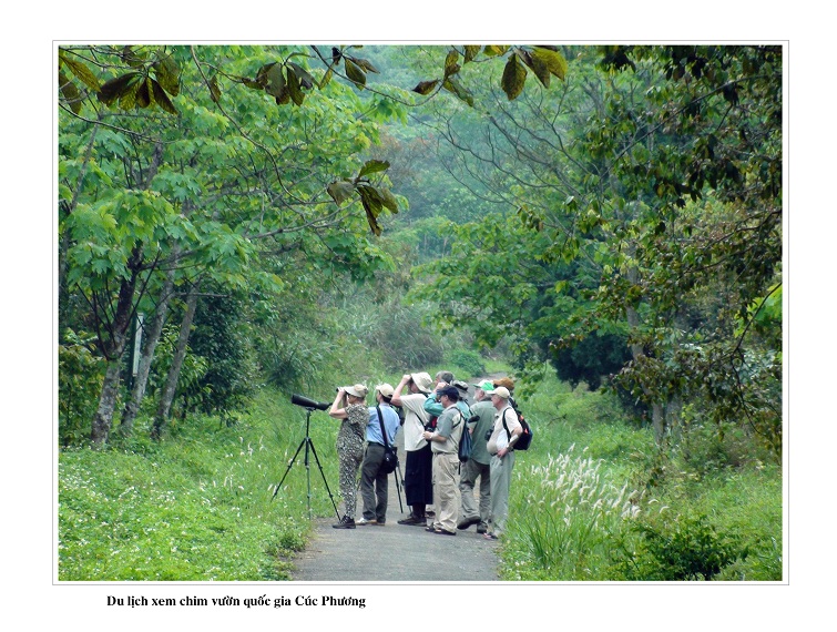 Ninh Binh accueille environ 6,5 millions de touristes en neuf mois