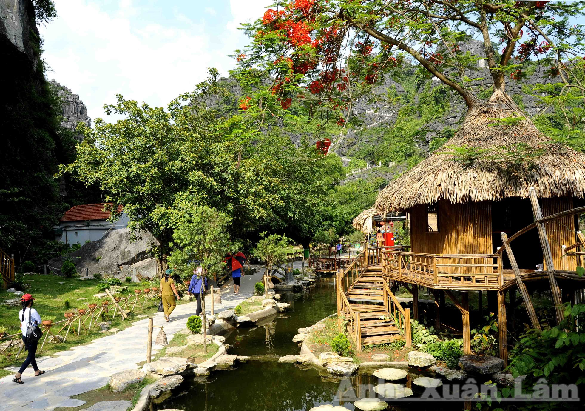 Ninh Binh, paradis pour les amoureux de la nature