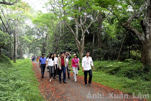 Expériences intéressantes au parc national de Cuc Phuong