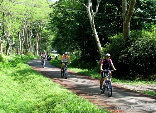 Expériences de tourisme découvert dans le parc national de Cuc Phuong