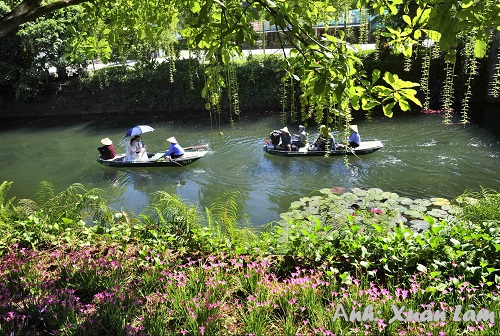 Découvrir des destinations touristiques vertes à Ninh Binh