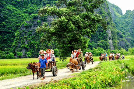 Nét đẹp bình dị thôn quê ở Ninh Bình