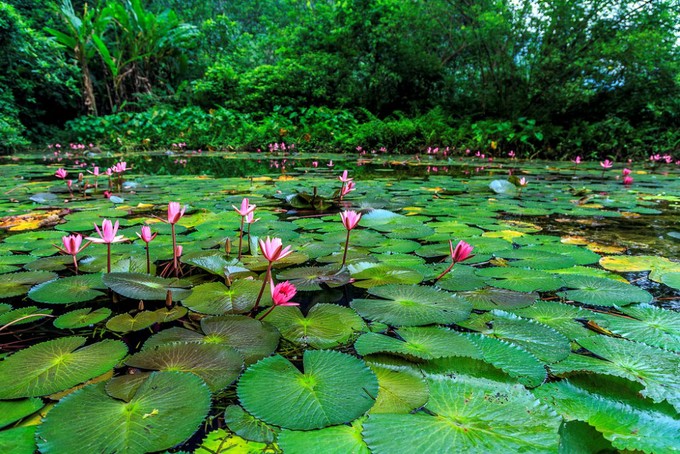 Tràng an nhuộm sắc thu