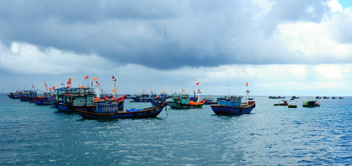 Đến Lý Sơn để thêm yêu biển đảo Việt nam