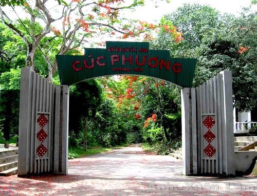 Về Cúc Phương sống chậm