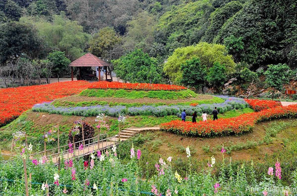 Khu du lịch sinh thái Thung Nham – Bức tranh thiên nhiên sống động