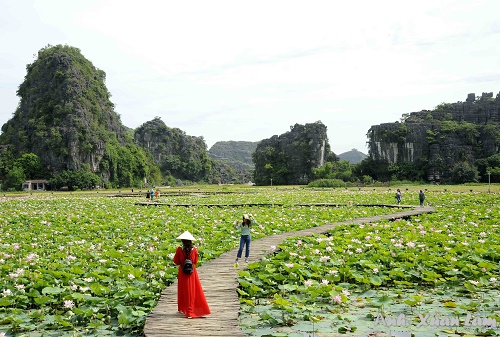 Tháng 8 đến Ninh Bình du lịch có gì hấp dẫn?