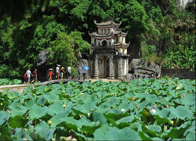 Dịu dàng hương sen mùa hạ