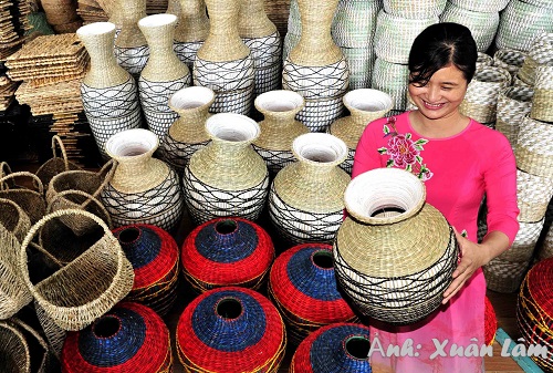 Cây cói và nghề dệt cói ở Kim Sơn