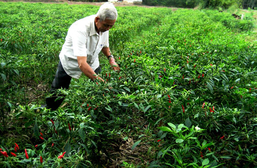 Phong trào Toàn dân đoàn kết xây dựng đời sống văn hóa ở Quảng Lạc