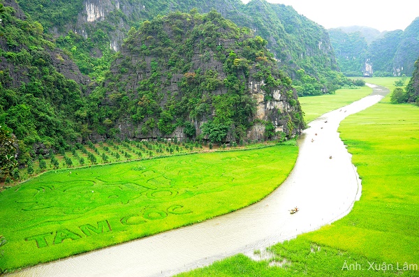 Tháng 5 này về Ninh Bình tham gia Tuần du lịch “Sắc vàng Tam Cốc – Tràng An” năm 2023